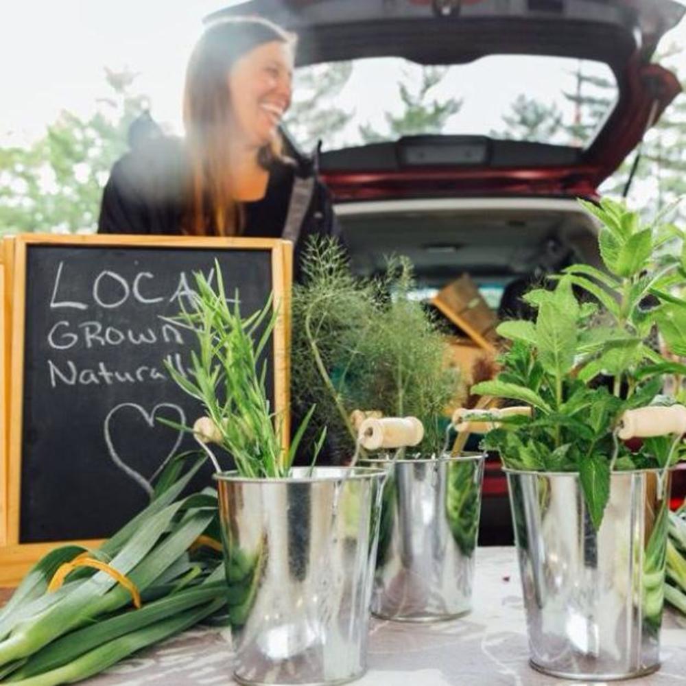 Meet your Posher, Micky